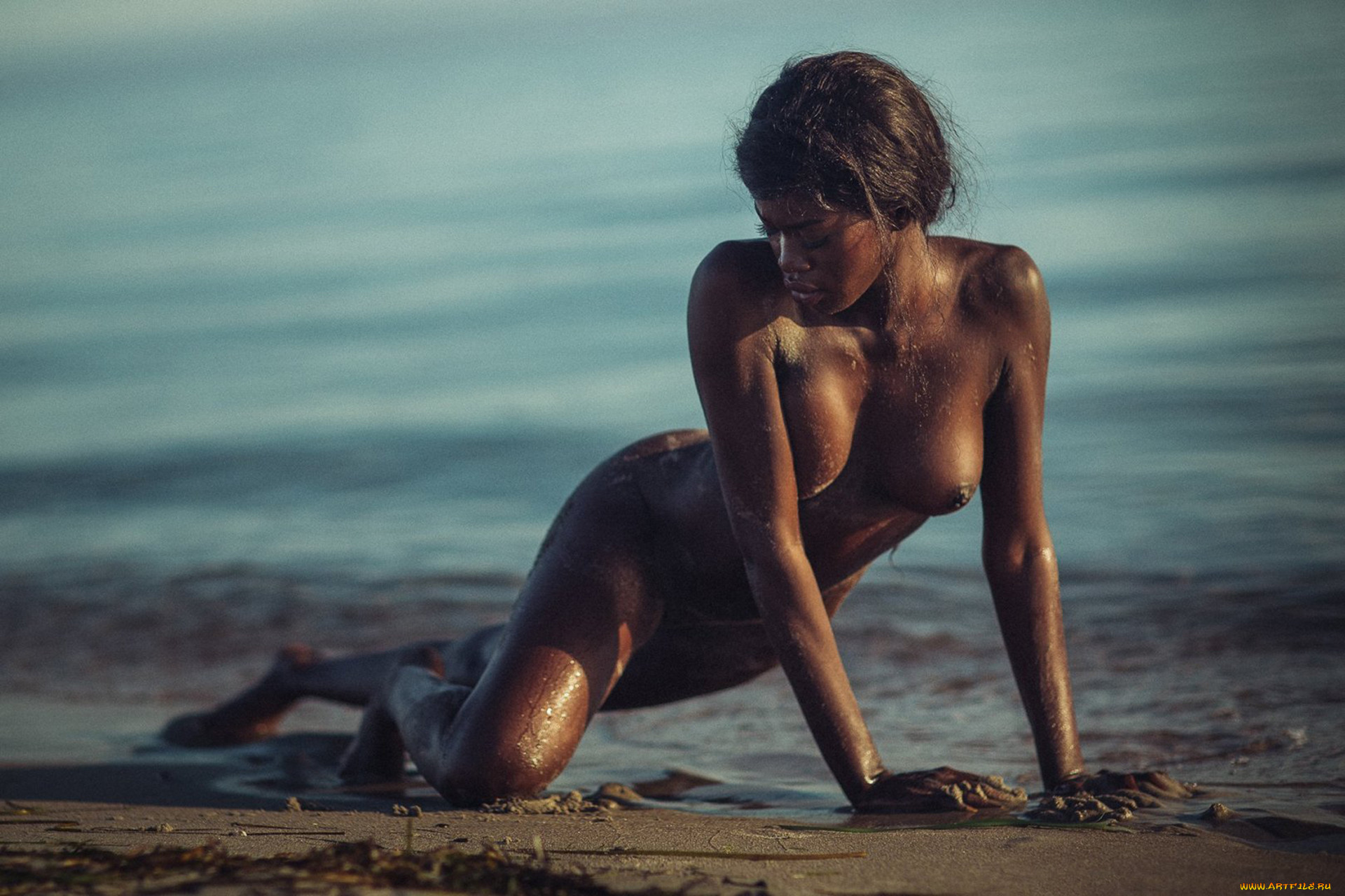 naomi nash, , , naomi, nash, , , , , , , , , , , , , 